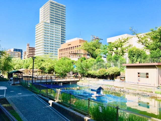 木場親水公園 夏場は広いじゃぶじゃぶ池が大人気の木場3丁目にある公園 深川くらし