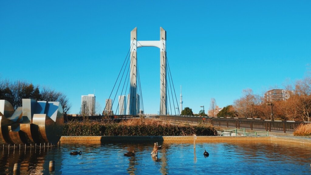 リノベーションした中古マンション目の前の木場公園