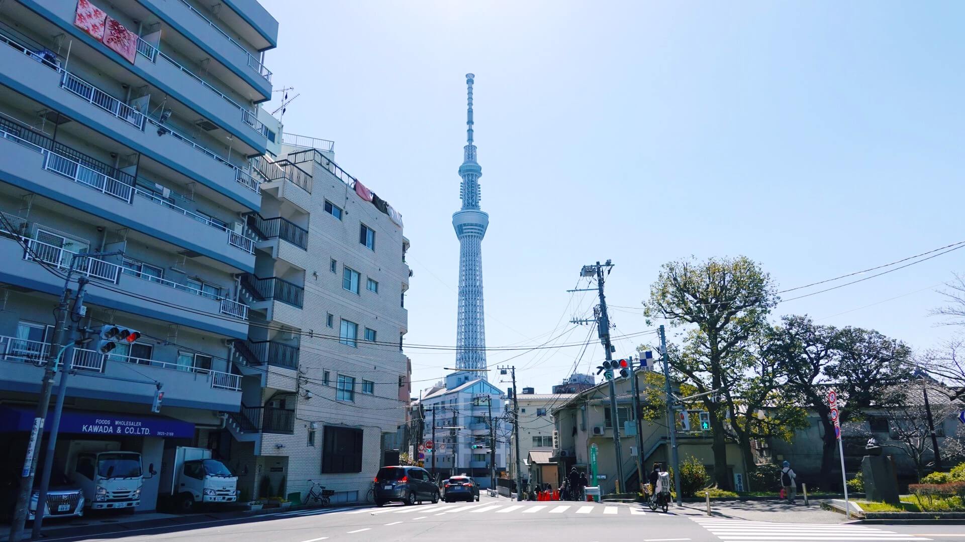 向島のスカイツリーの見える風景