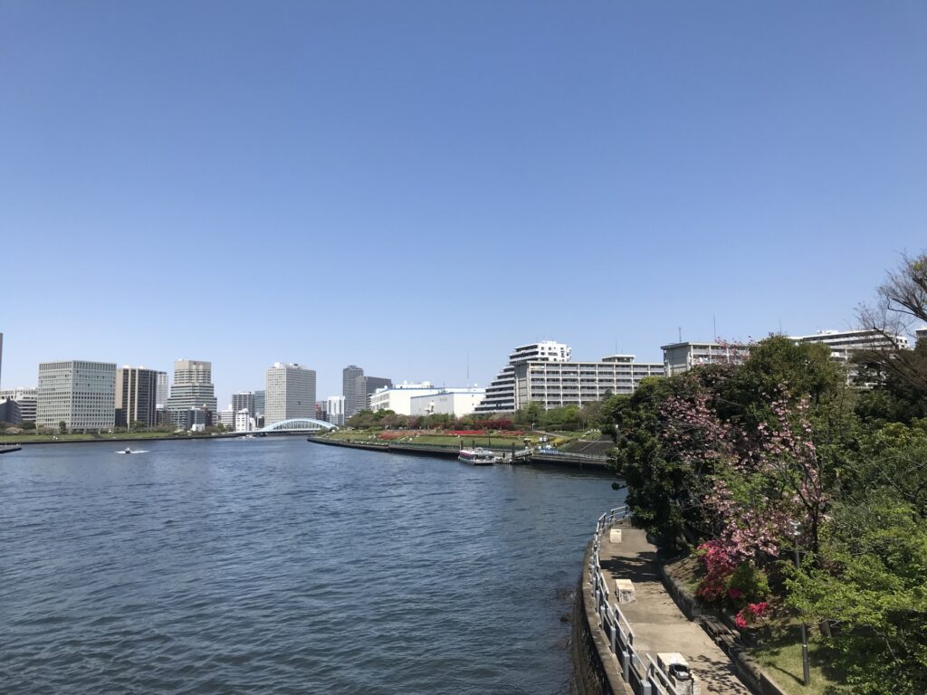 相生橋から隅田川沿いに越中島公園を望む